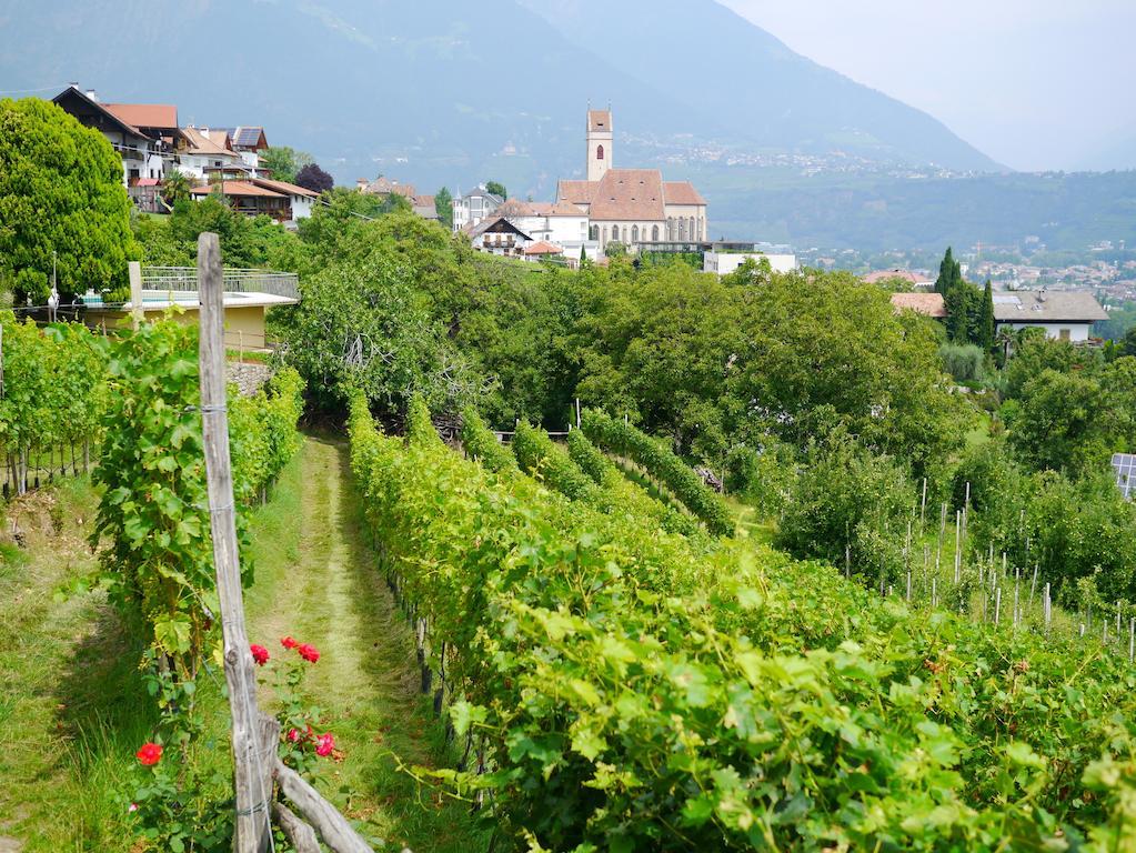 Alloggio per agriturismo Weingut Pardellerhof
